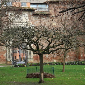 Ancienne porte du Capitole réédifiée dans le jardin des Plantes de Toulouse
