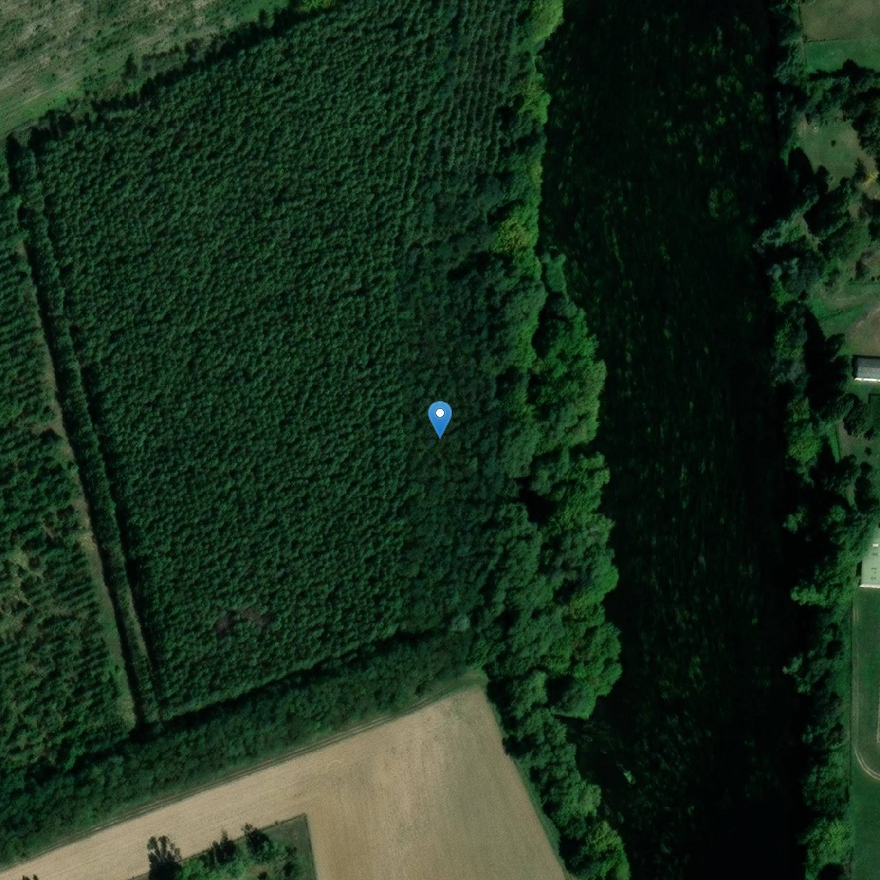 Photo de Posto cavallo delle Orme