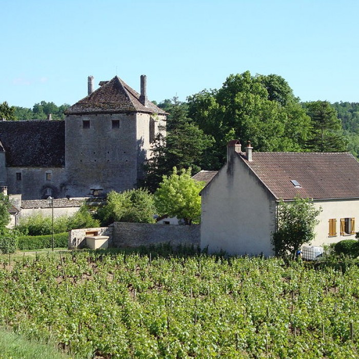 Photo de Château de Gamay