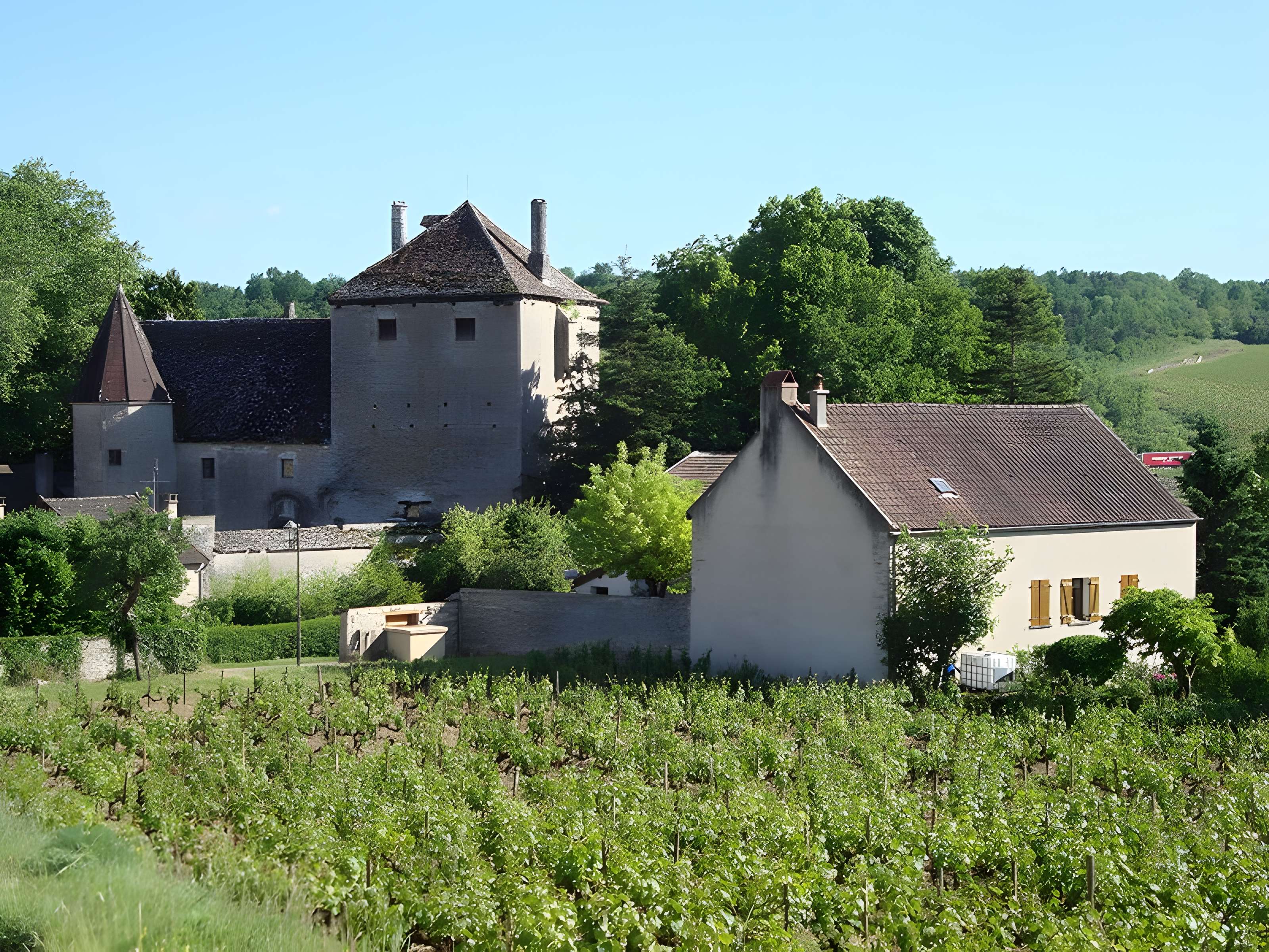 Château de Gamay 