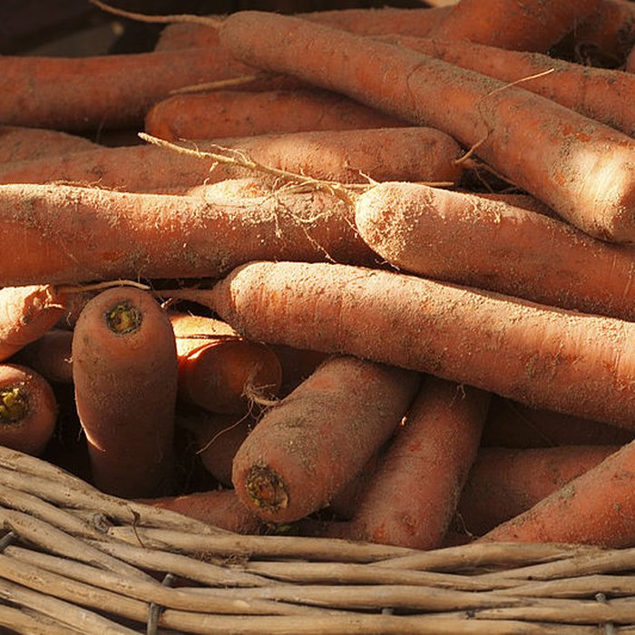 Photo de Potager du roi à Versailles