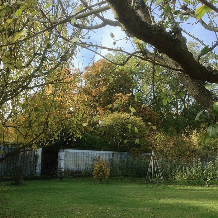 Photo de Potager du roi à Versailles