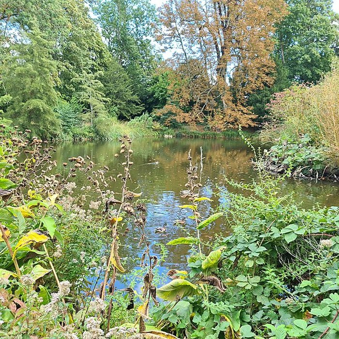 Photo de Potager du roi à Versailles
