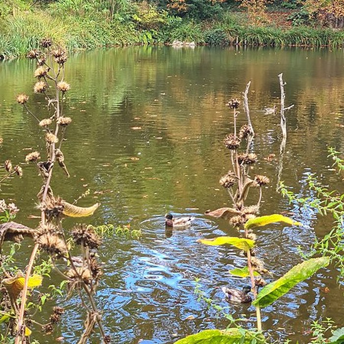 Photo de Potager du roi à Versailles