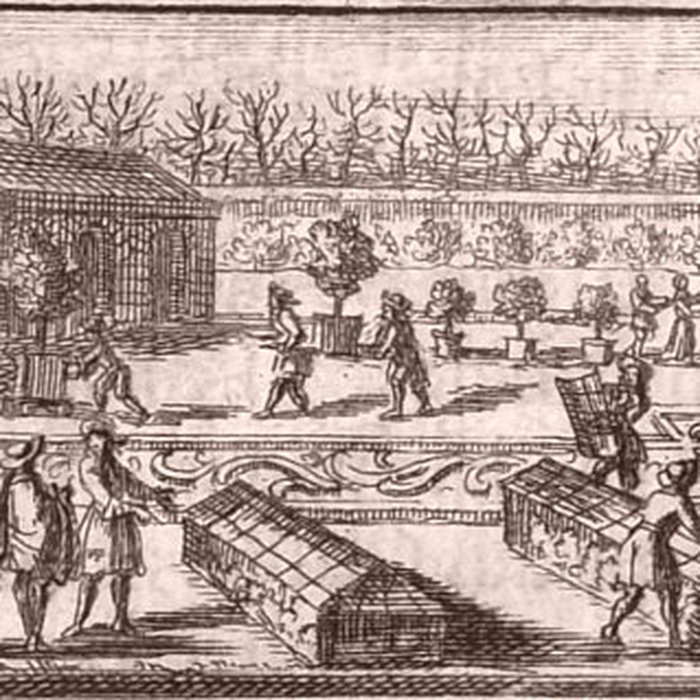 Photo de Potager du roi à Versailles