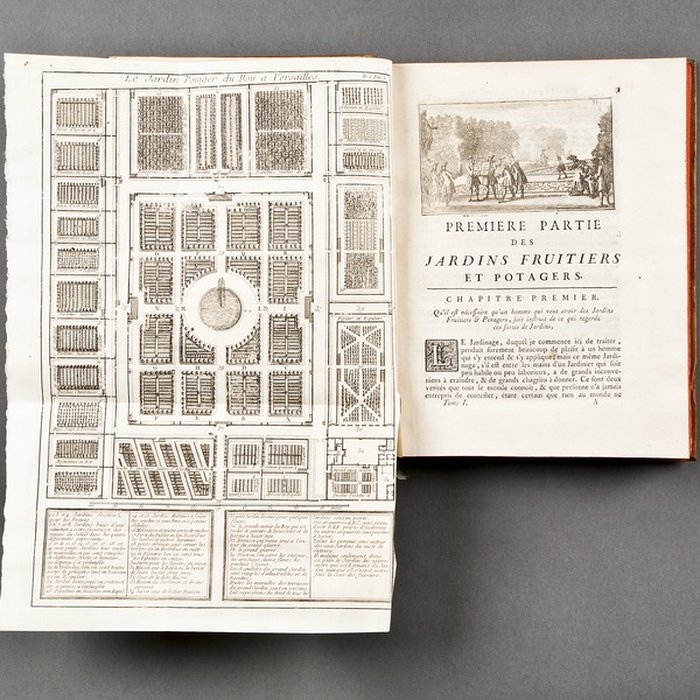 Photo de Potager du roi à Versailles