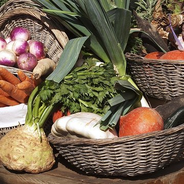 Potager du roi à Versailles