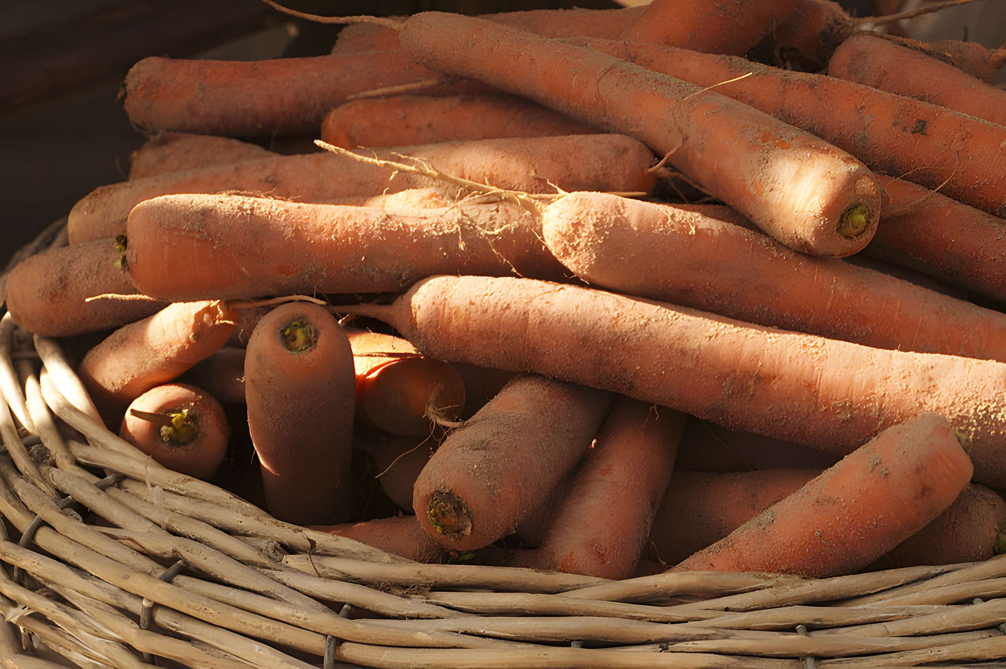 Potager du roi à Versailles