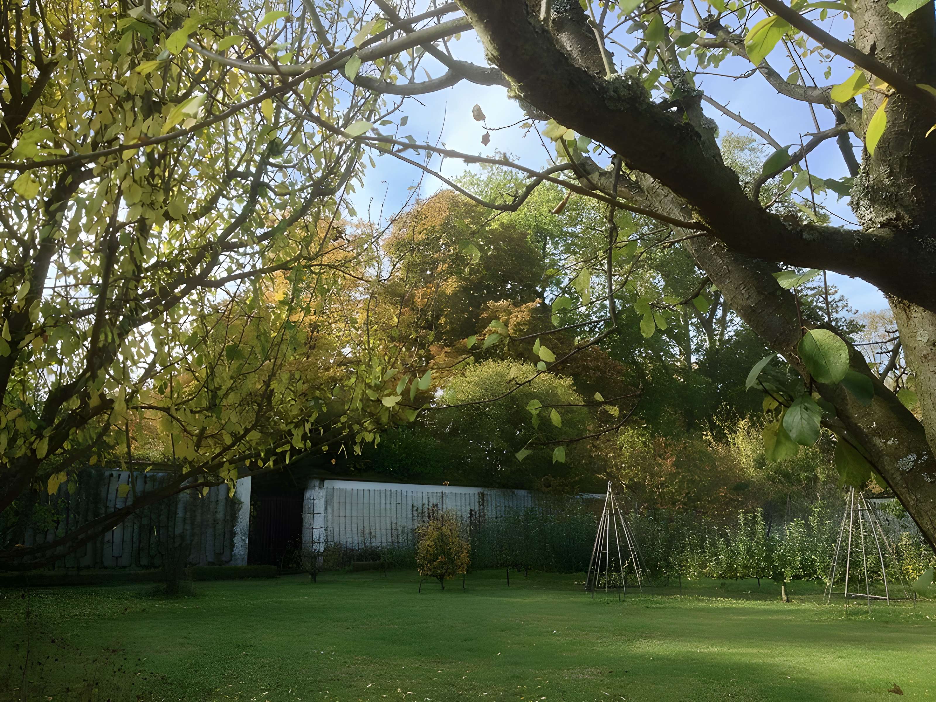 Potager du roi à Versailles