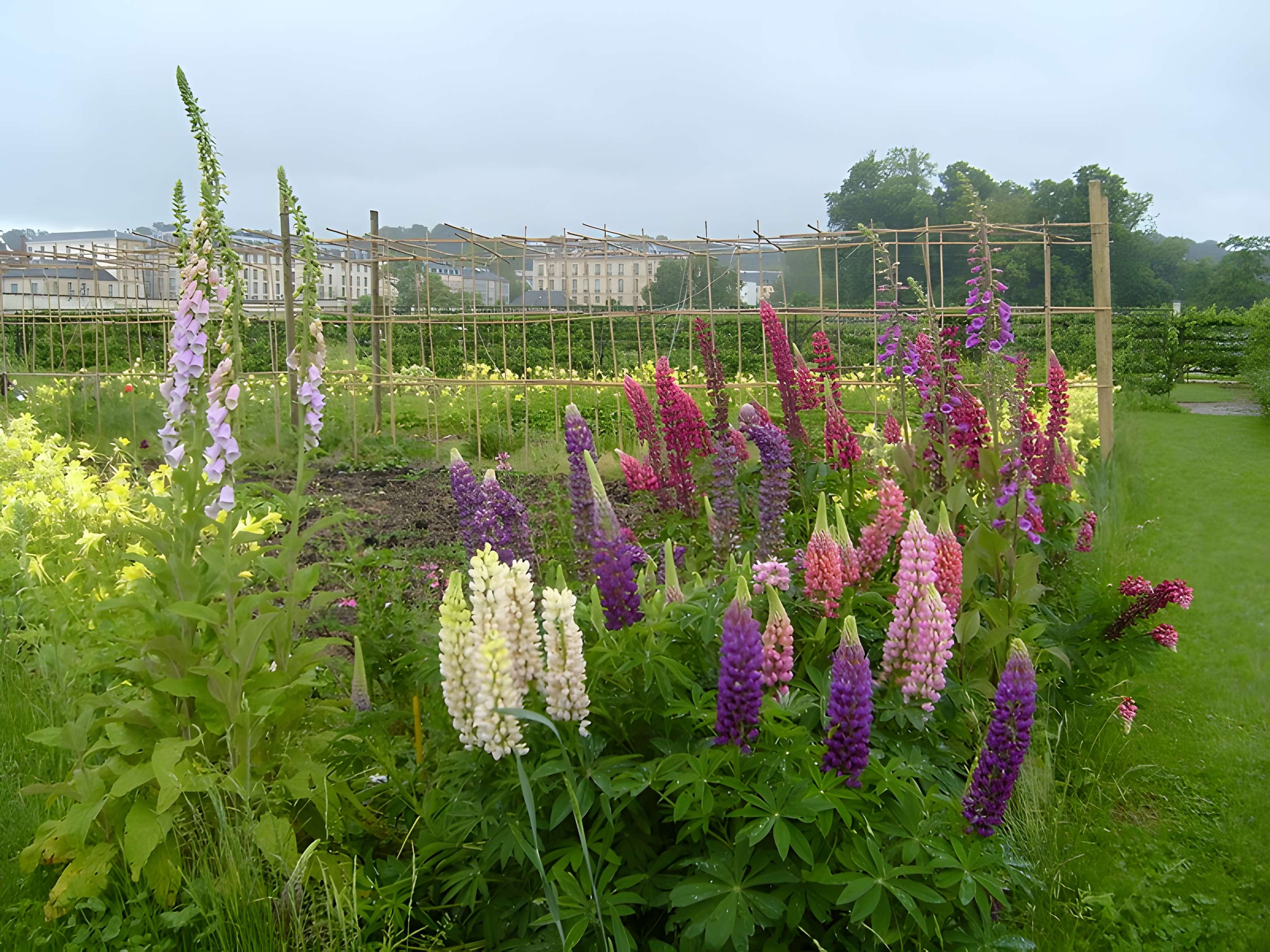 Potager du roi à Versailles