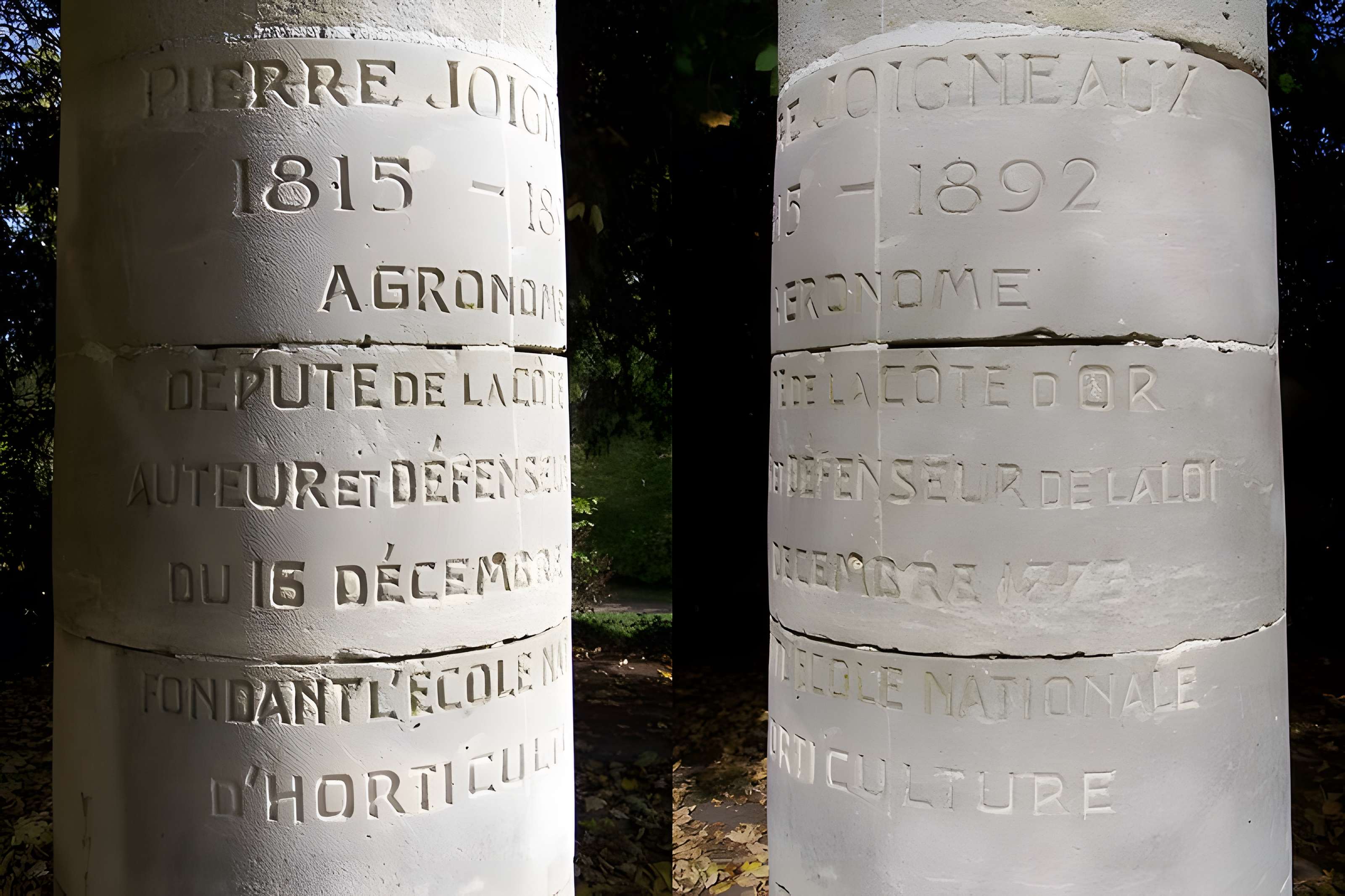 Potager du roi à Versailles