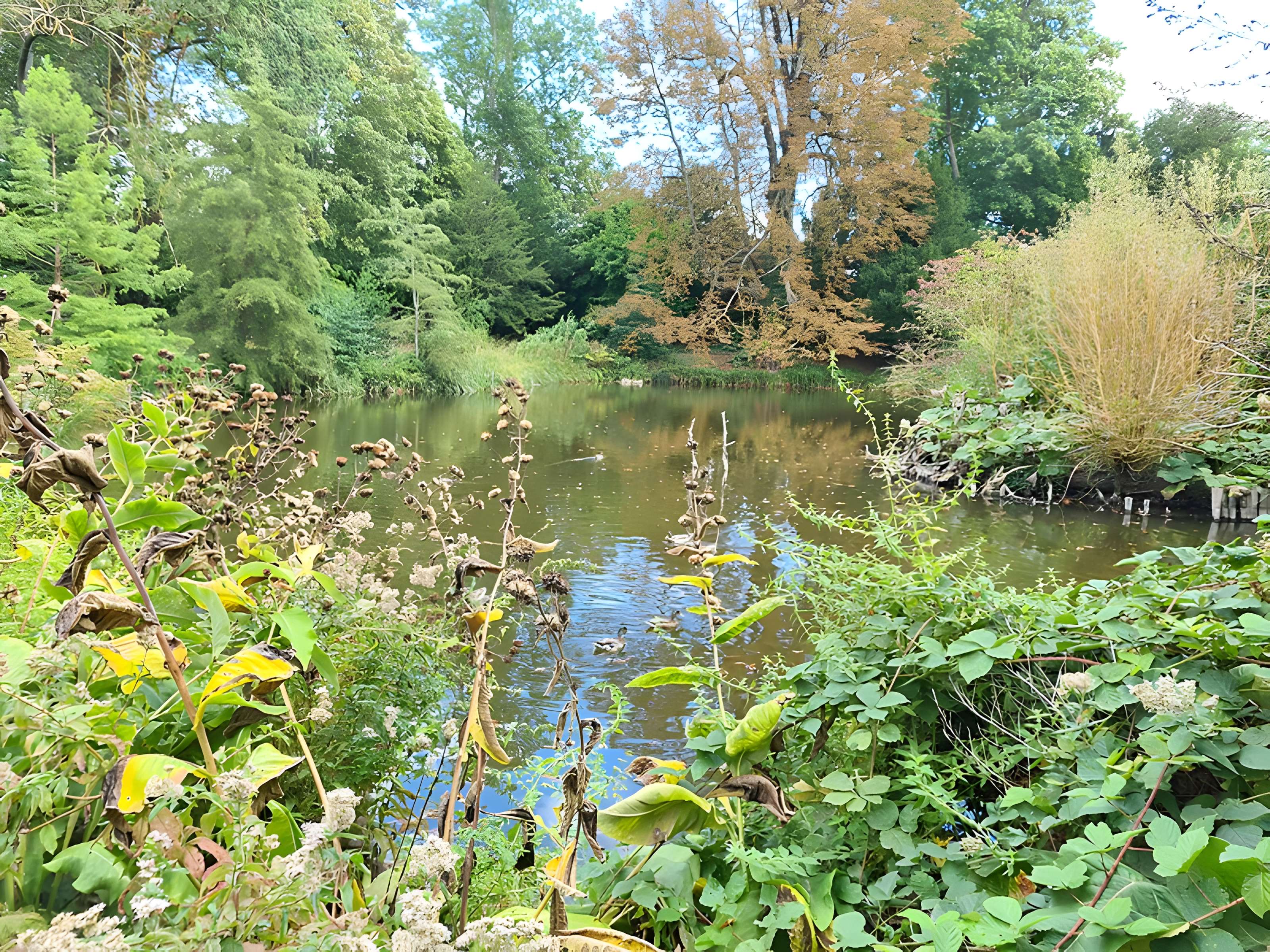 Potager du roi à Versailles
