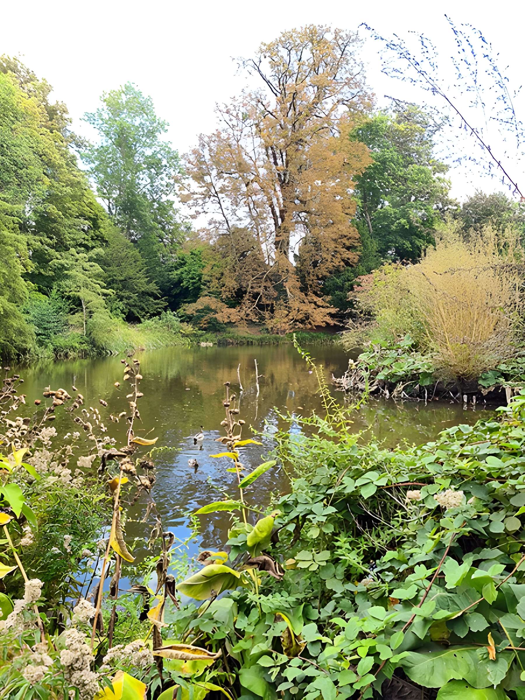 Potager du roi à Versailles