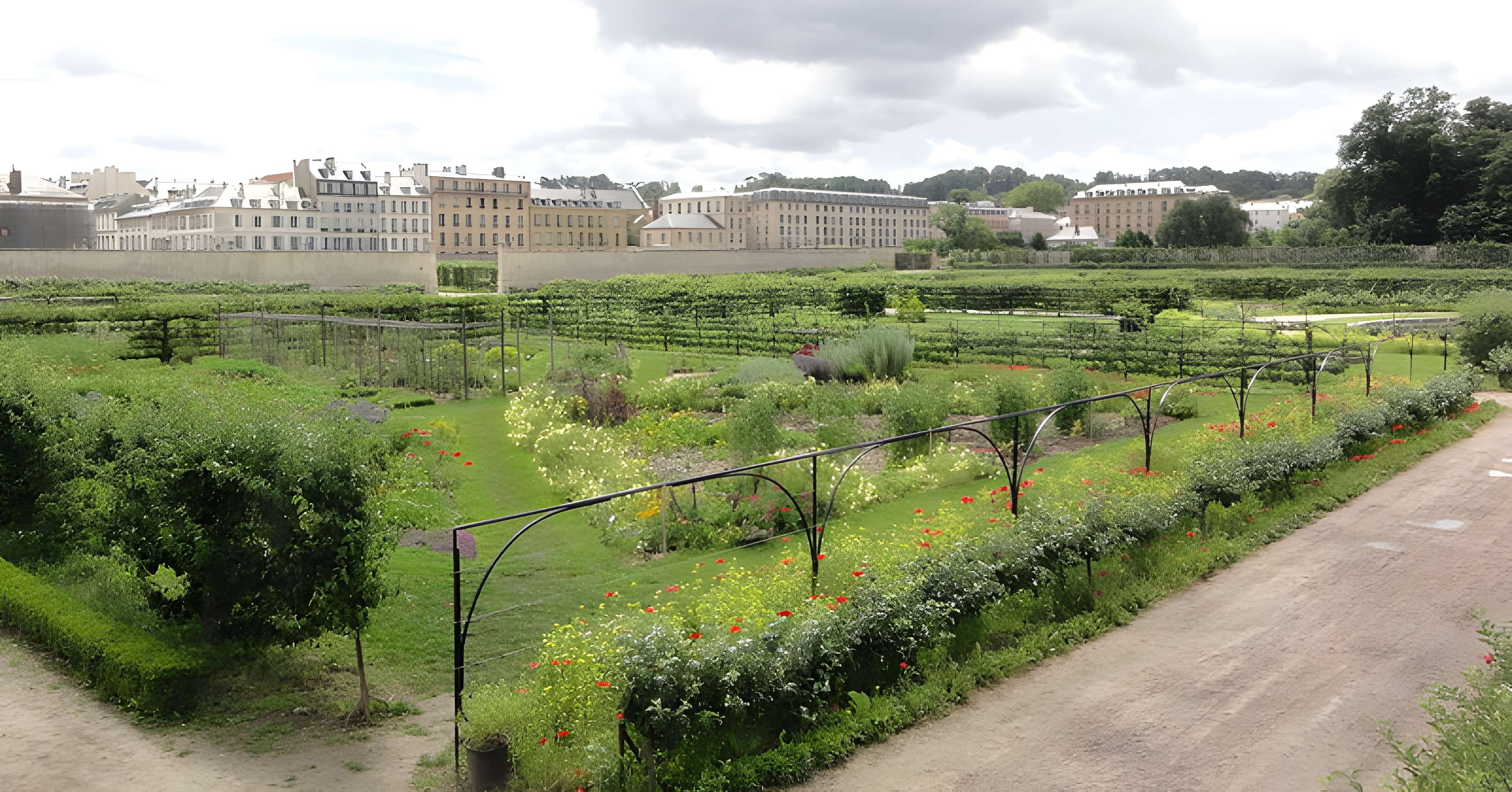 Potager du roi à Versailles