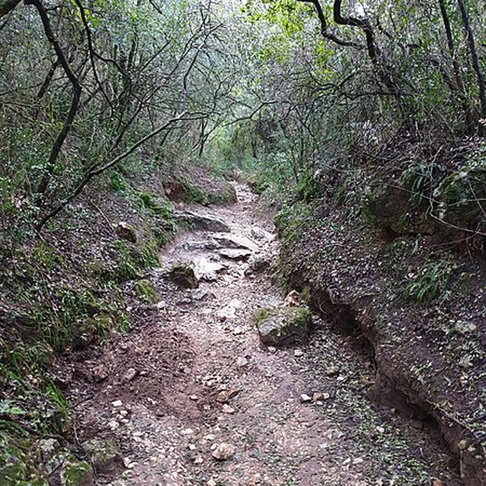 Photo de Castellum divisorium de Nîmes