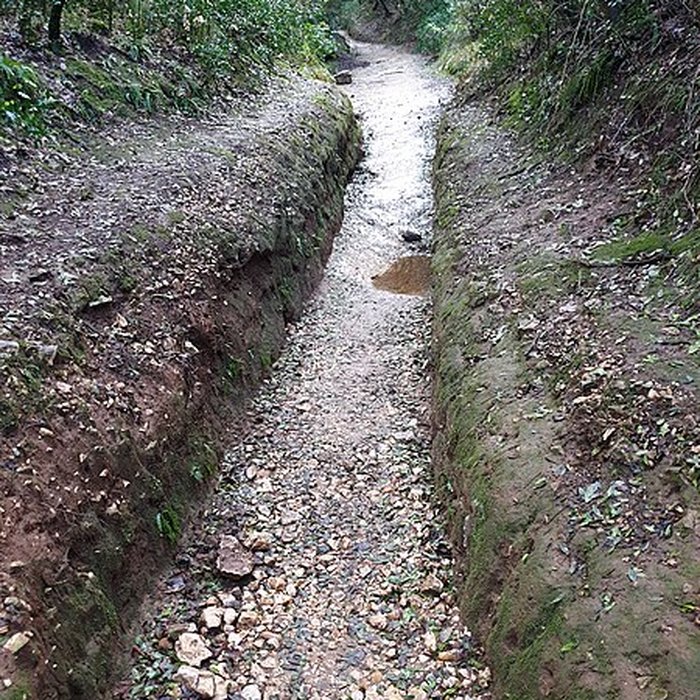 Photo de Castellum divisorium de Nîmes