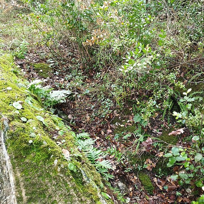 Photo de Castellum divisorium de Nîmes