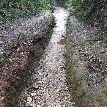 Castellum divisorium de Nîmes