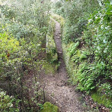 Castellum divisorium de Nîmes