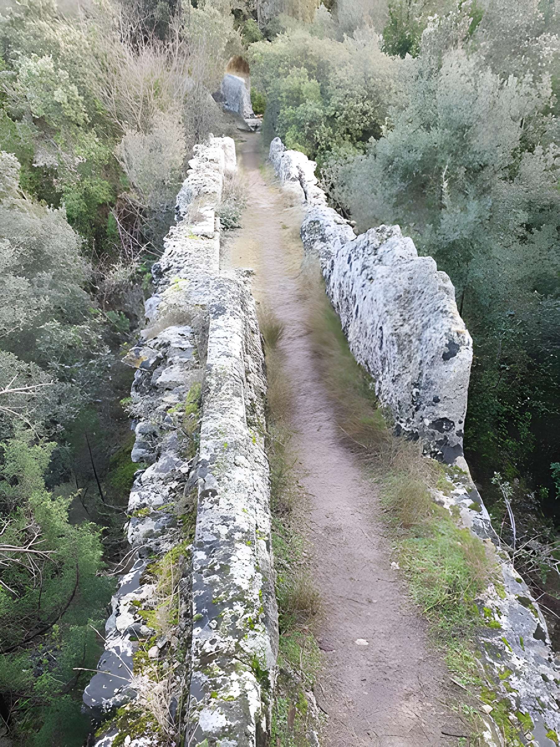 Castellum divisorium de Nîmes