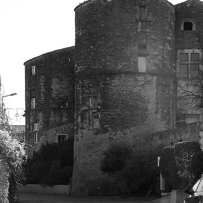 Photo de Château de Générac