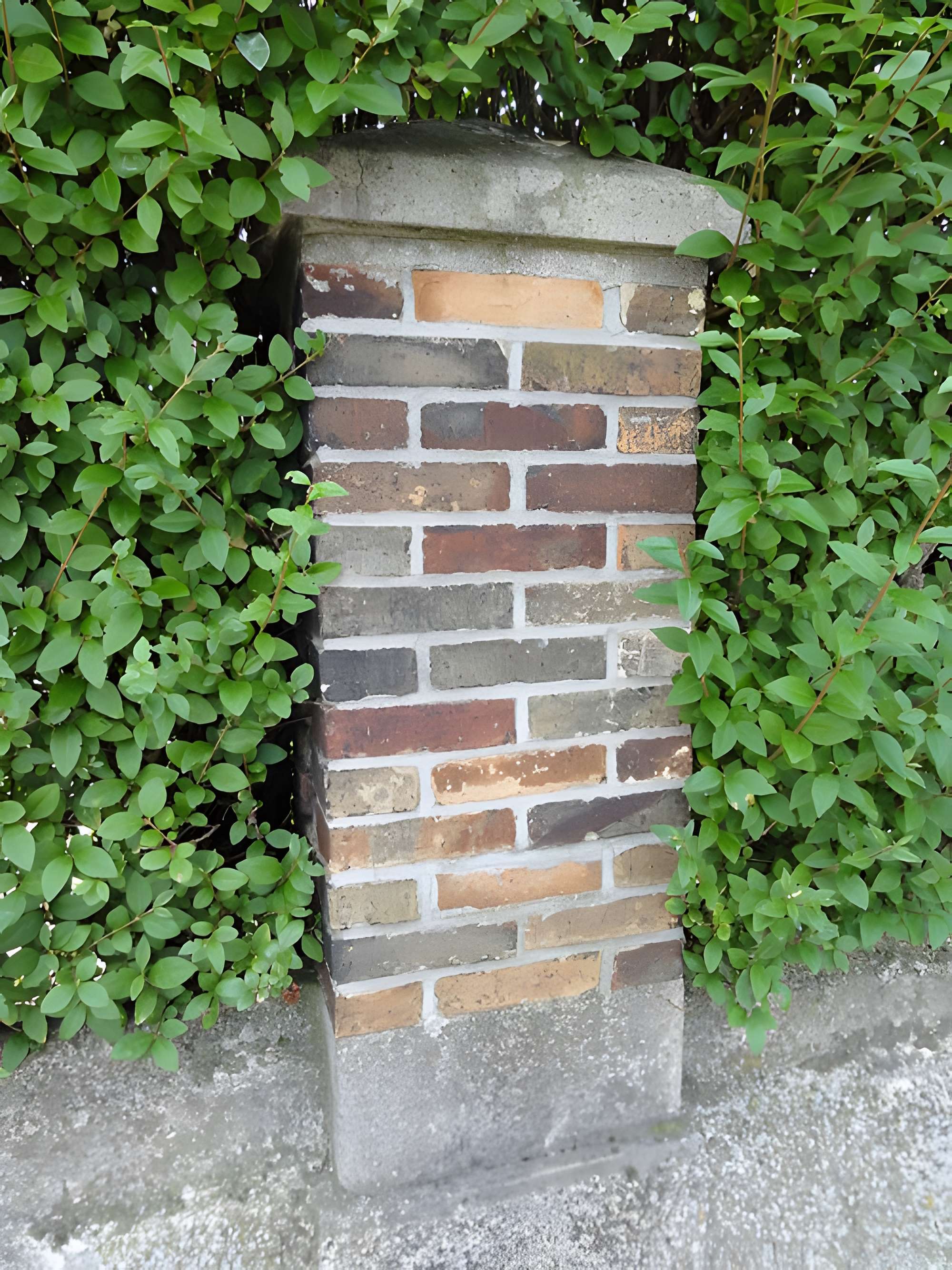 Presbytères français et polonais de l'église Notre-Dame-des-Mineurs de Waziers