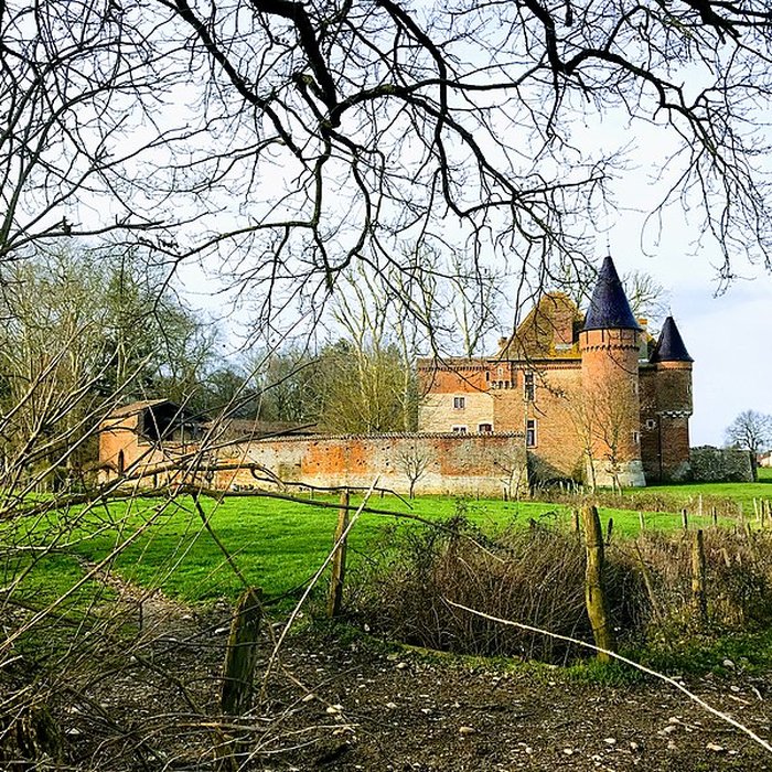 Photo de Château de Genoud