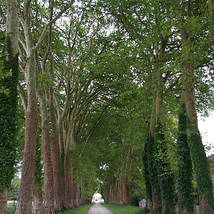 Photo de Château de Gizeux