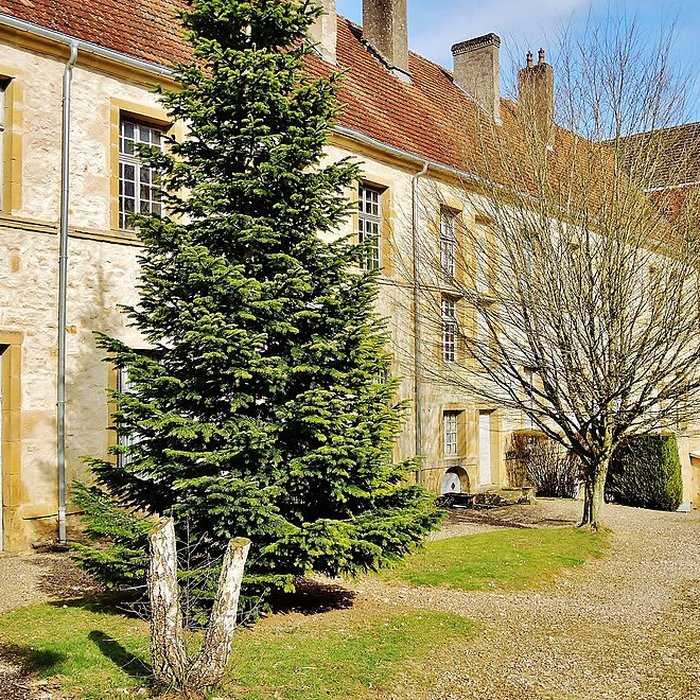 Photo de Prieuré de La Roche-Morey