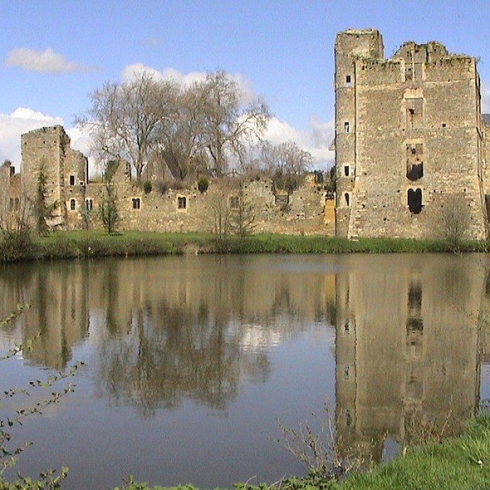 Photo de Château de Gonnord restes