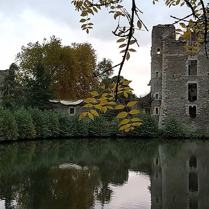 Photo de Château de Gonnord restes