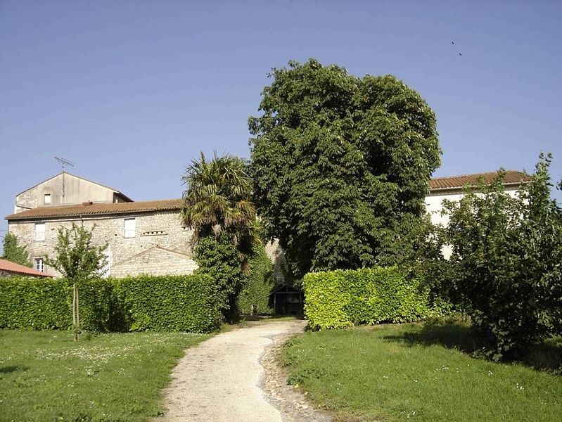 Photo de Prieuré de Mouzeuil-Saint-Martin