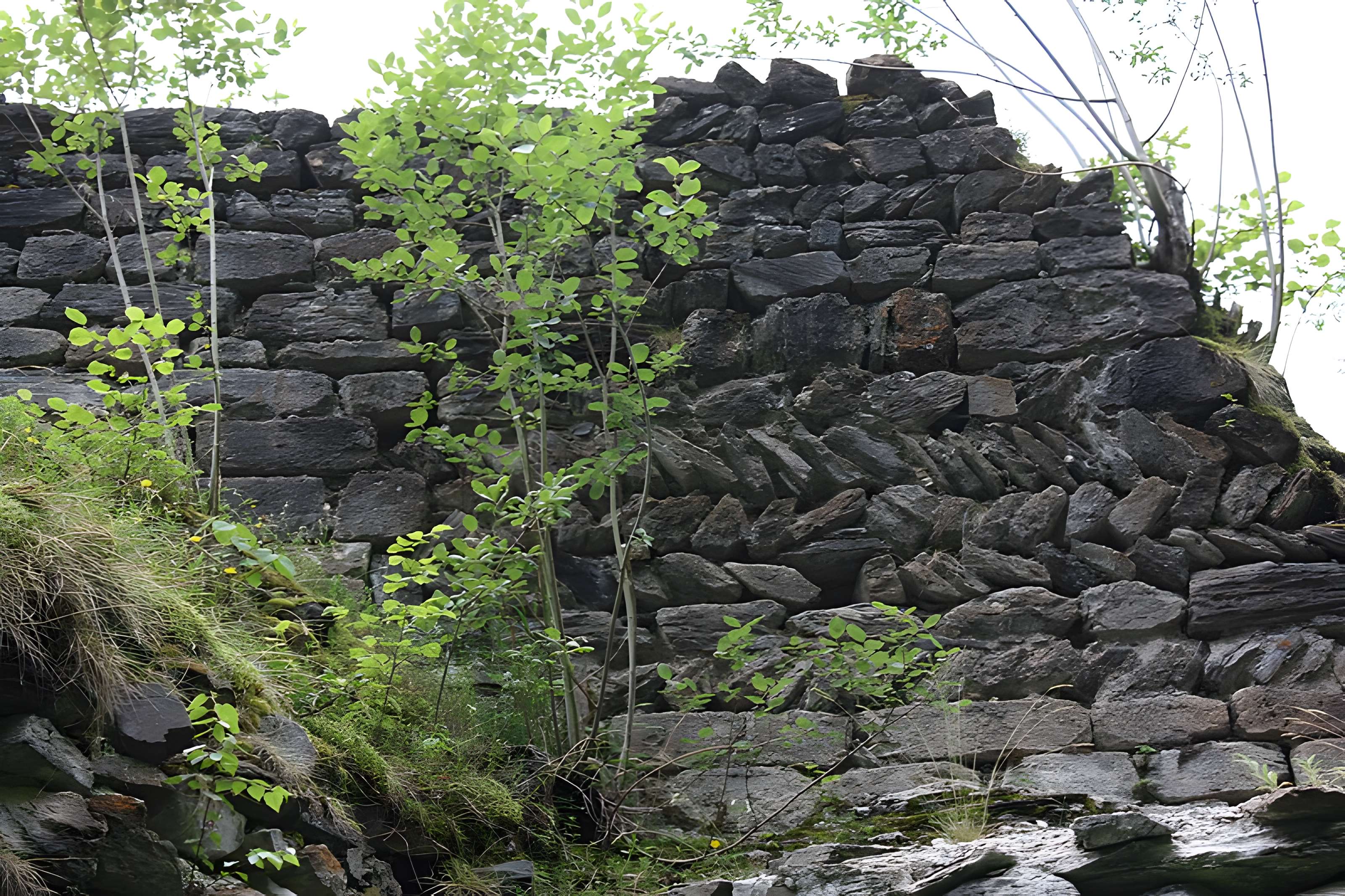 Prieuré de Saint-Orens-en-Lavedan