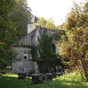Ruines du prieuré de Saint-Pierre-en-Chastres dans la forêt de Compiègne