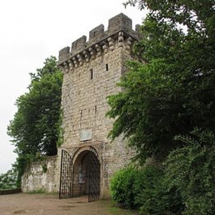 Photo de Château de Gray 