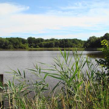 Prieuré Notre-Dame-des-Marchais