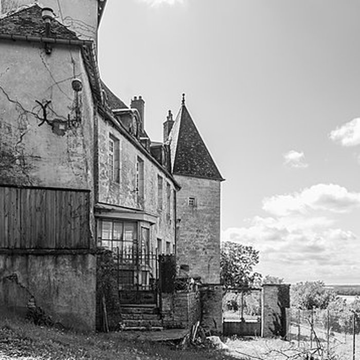 Photo de Château de Gy