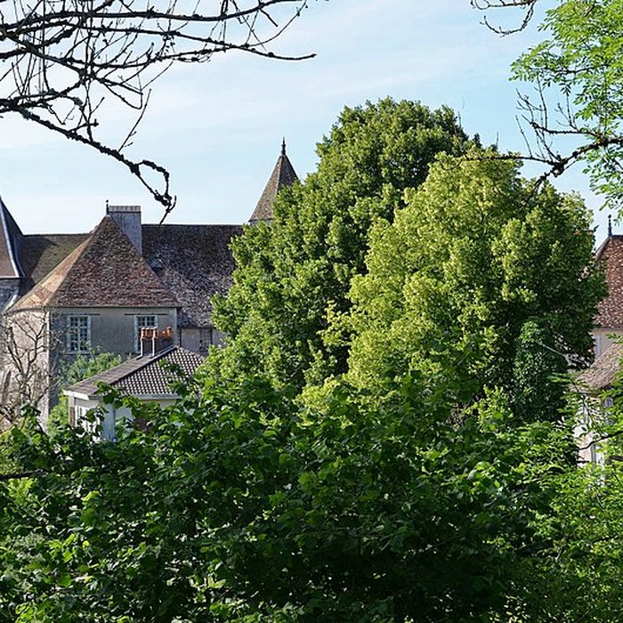 Photo de Château de Gy