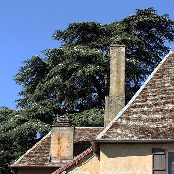 Photo de Château de Gy