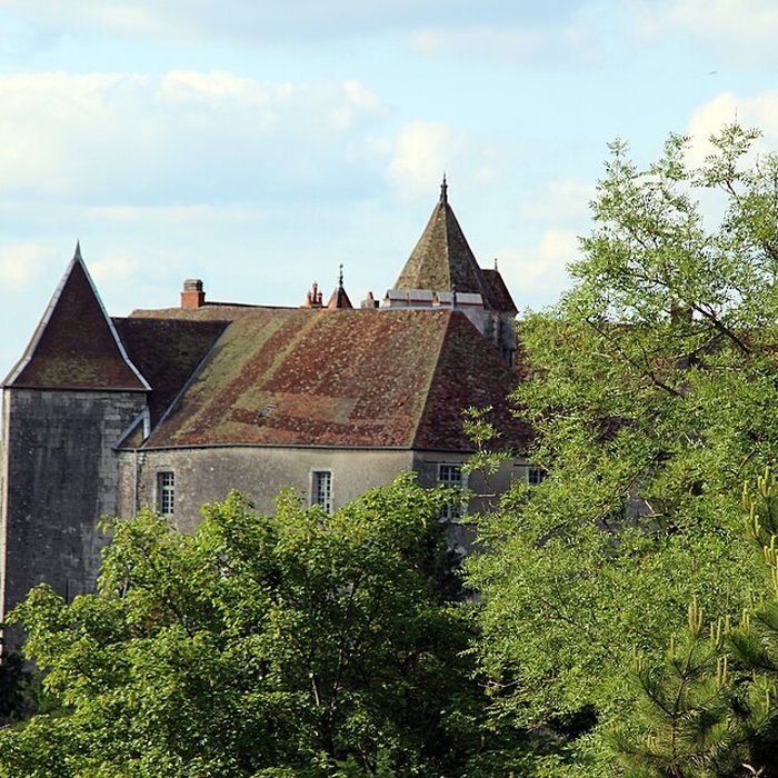 Photo de Château de Gy