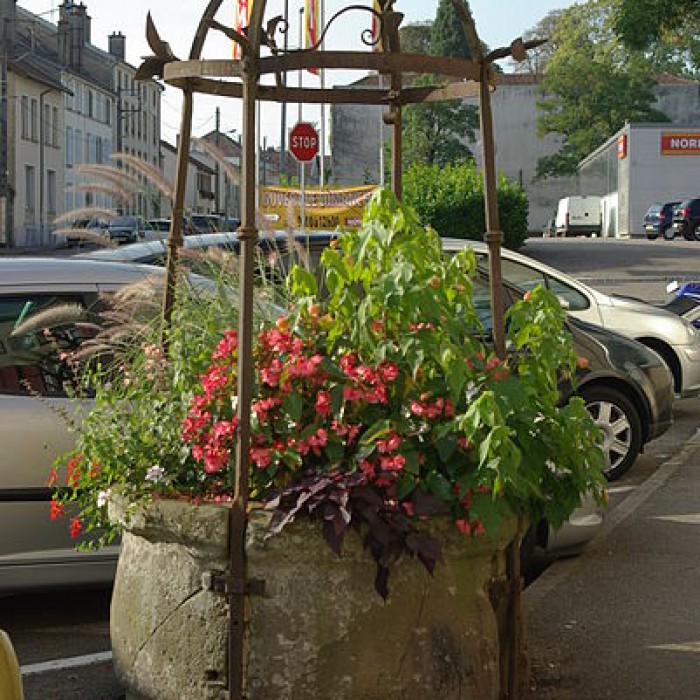 Photo de Puits communal de Mirecourt