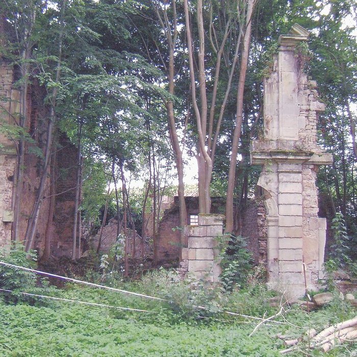 Photo de Château de Hellering