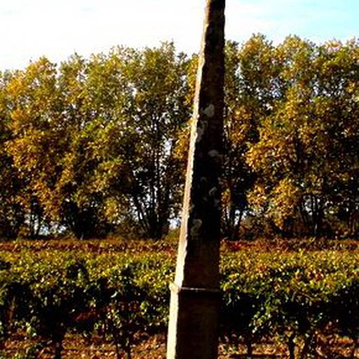 Photo de Pyramide de Puichéric