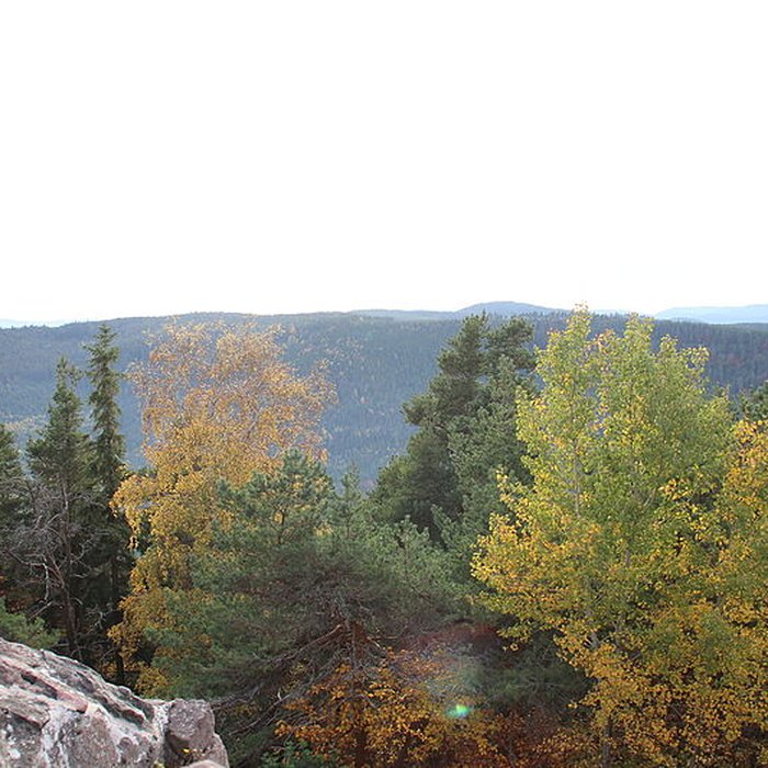 Photo de Château de Hohenack