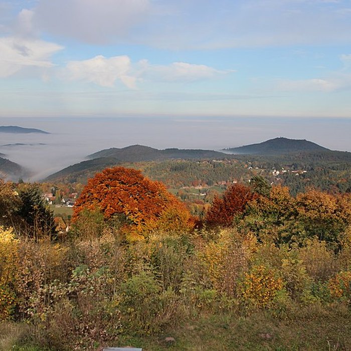 Photo de Château de Hohenack