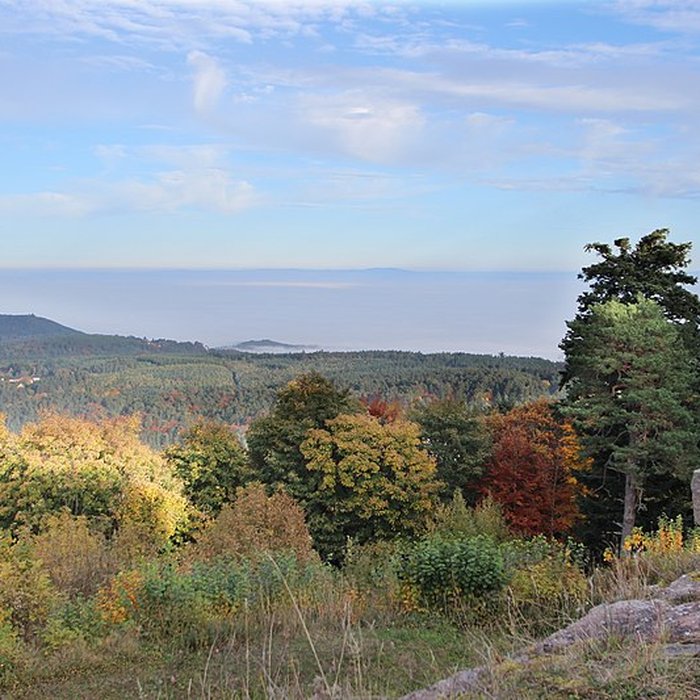 Photo de Château de Hohenack