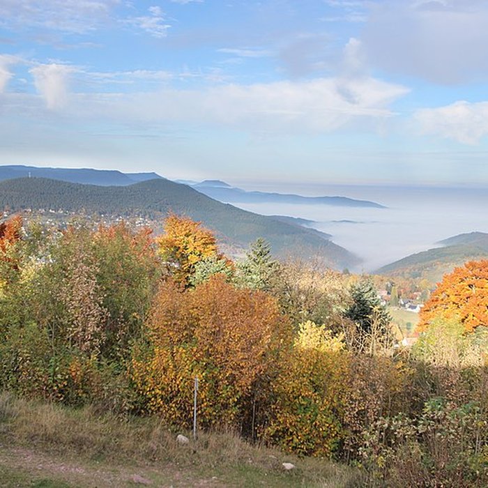 Photo de Château de Hohenack