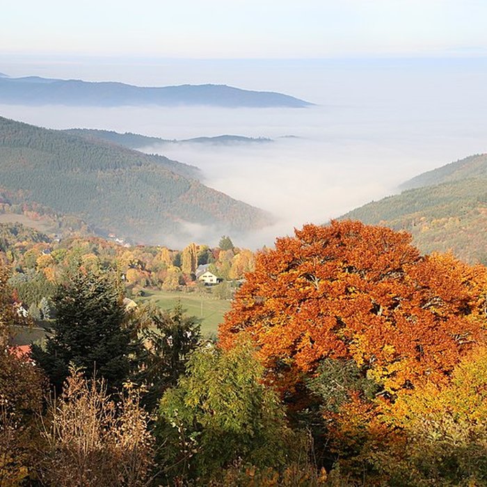 Photo de Château de Hohenack