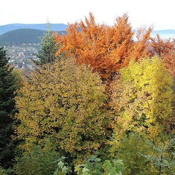 Château de Hohenack