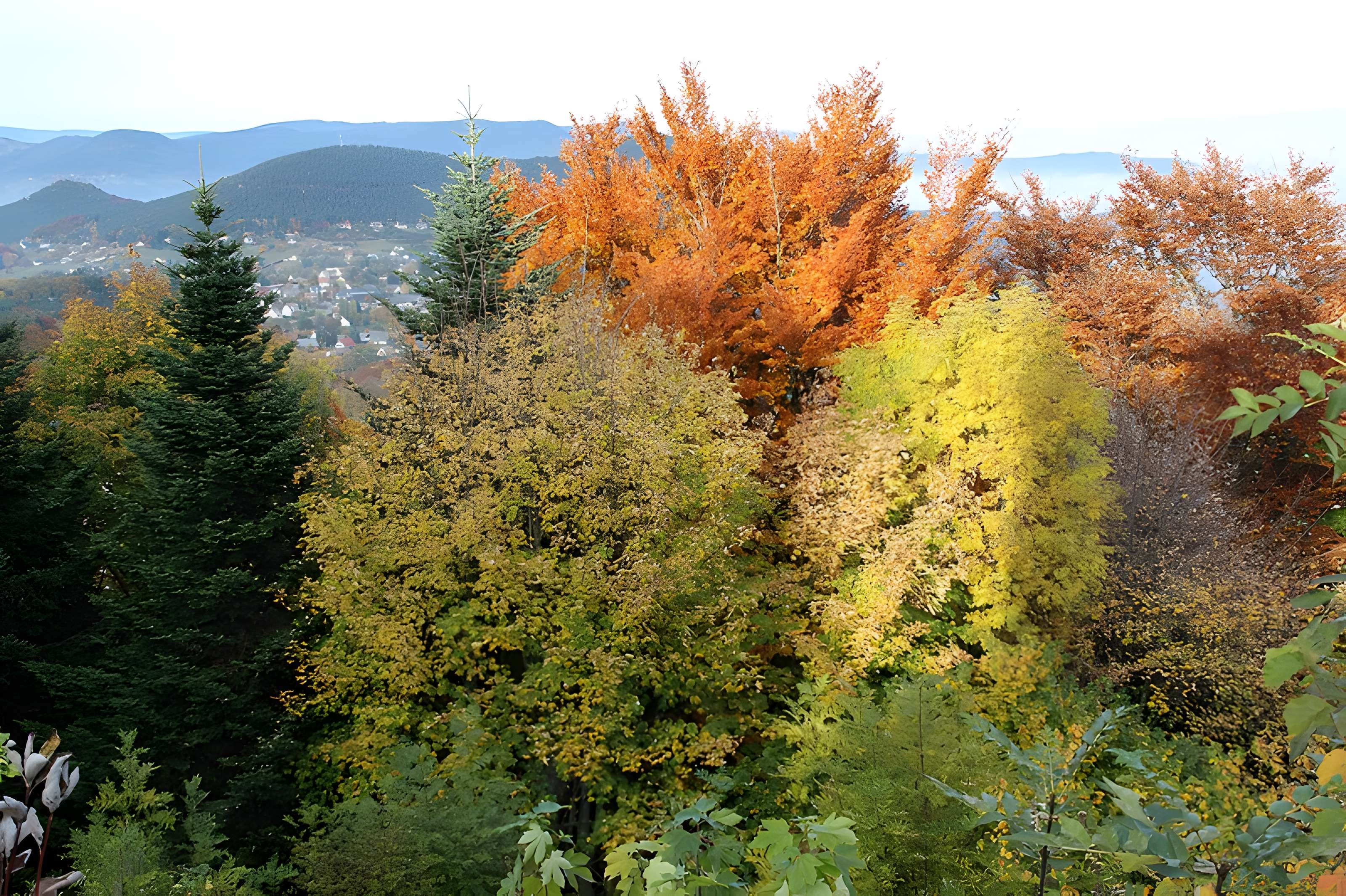 Château de Hohenack